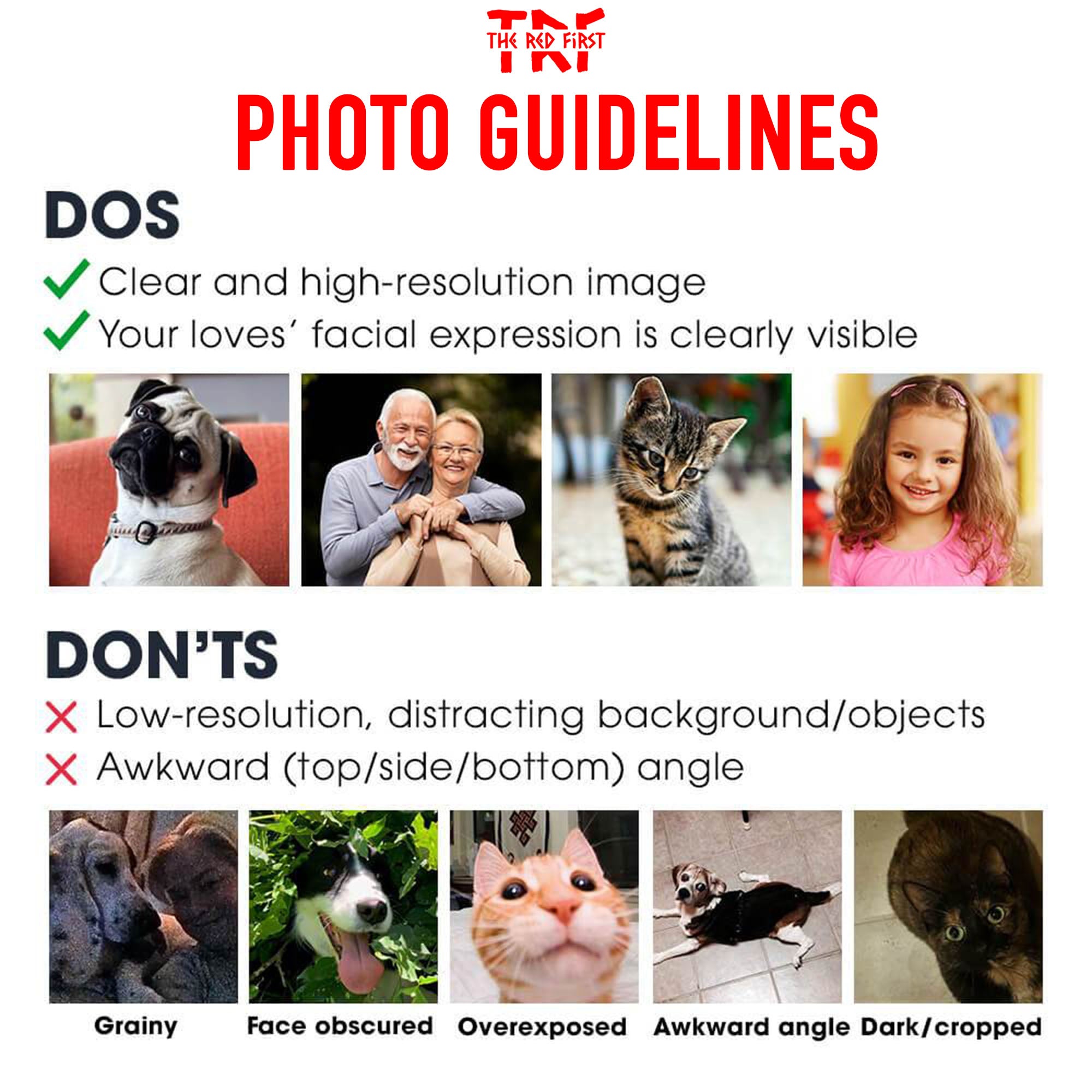 custom Pet Photo Dog Coffee MugC