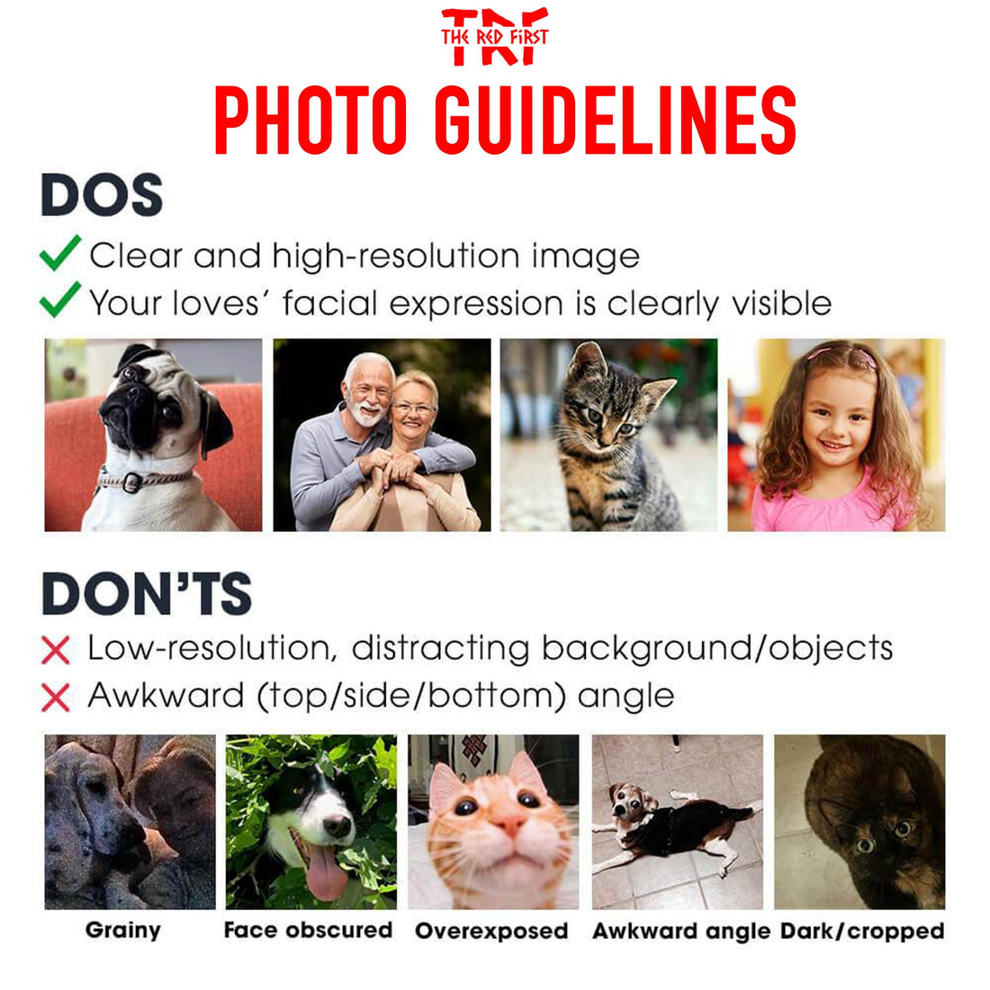 custom Pet Photo Dog Coffee MugC