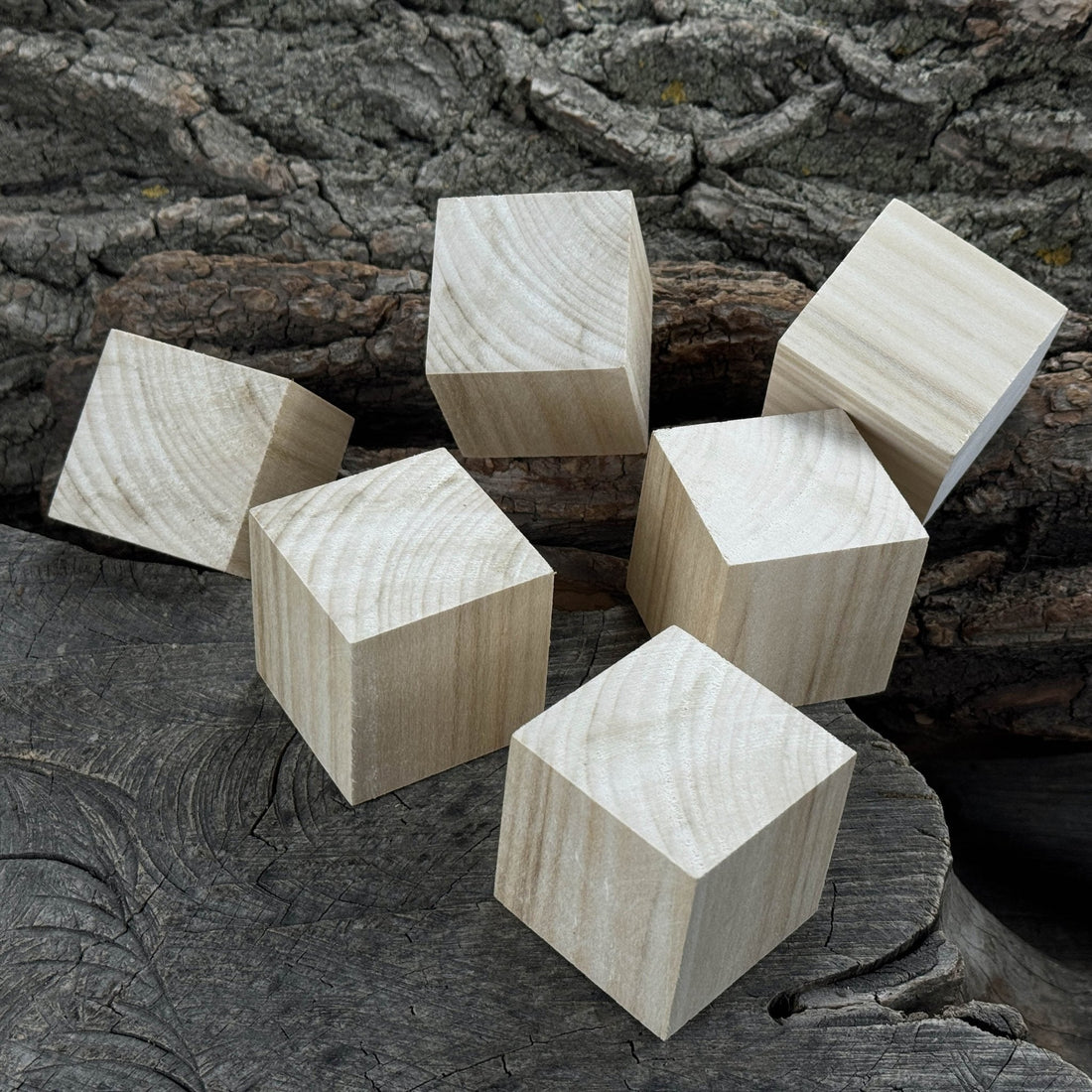 Set of 6 Linden Wood Carving Blanks