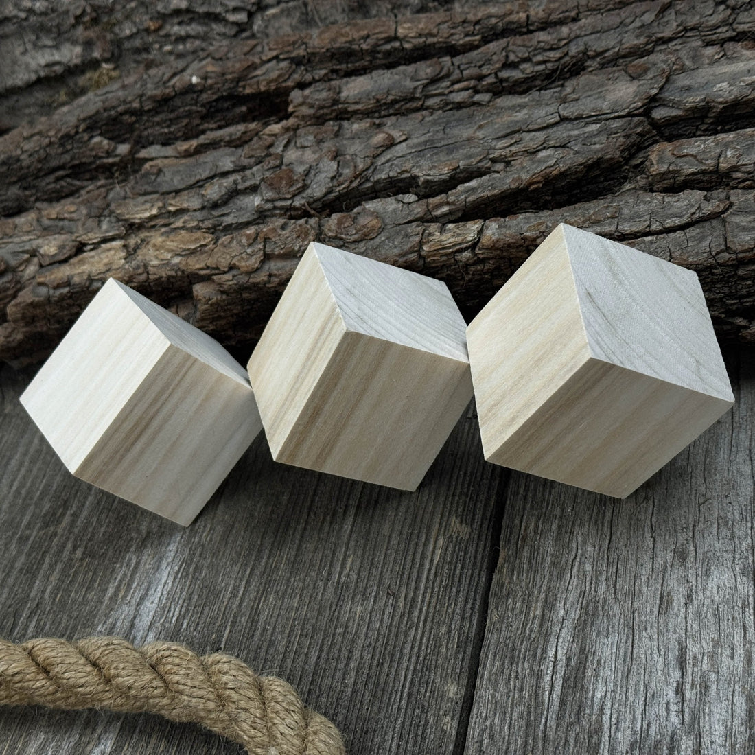 Set of 6 Linden Wood Carving Blanks