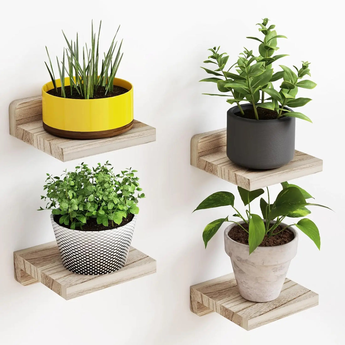 Small Wood Floating Shelves – 4-Pack
